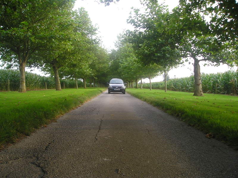 P1010211-3.jpg