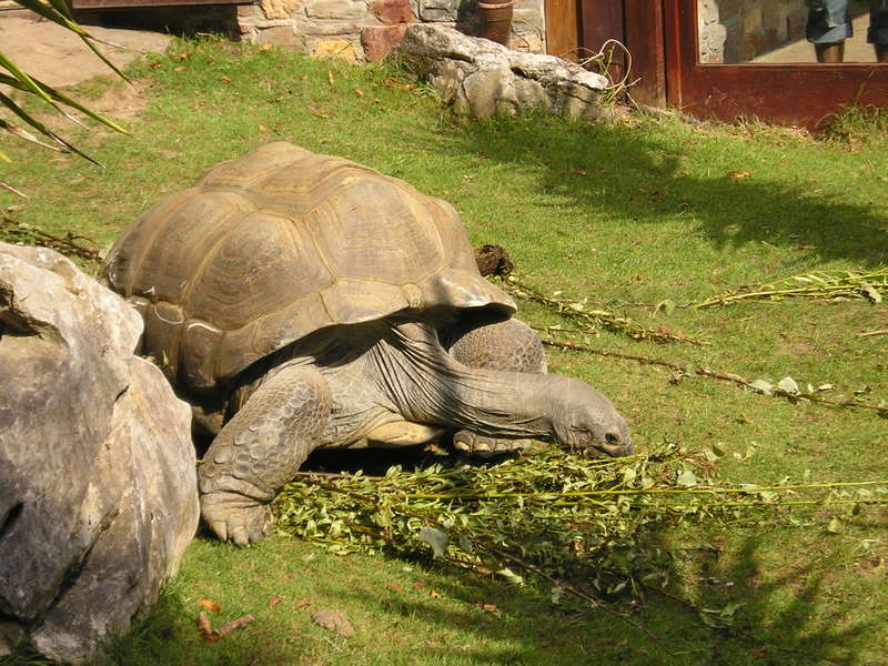 P1010212-4.jpg