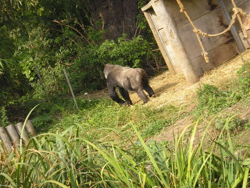 P1010225.webp