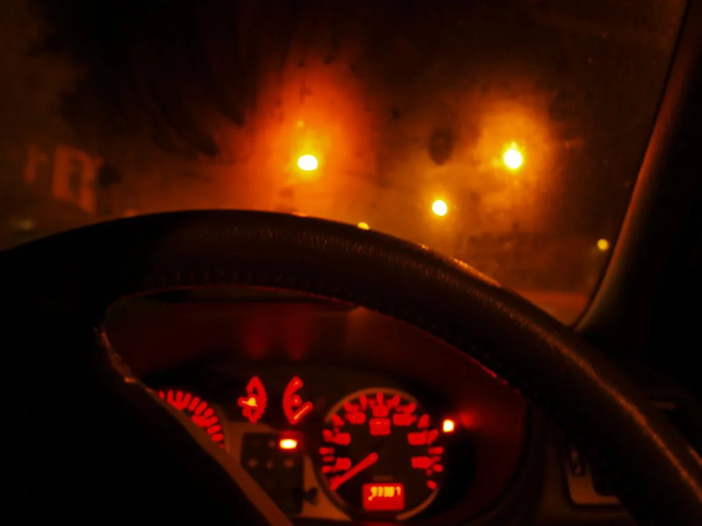P1010229.webp