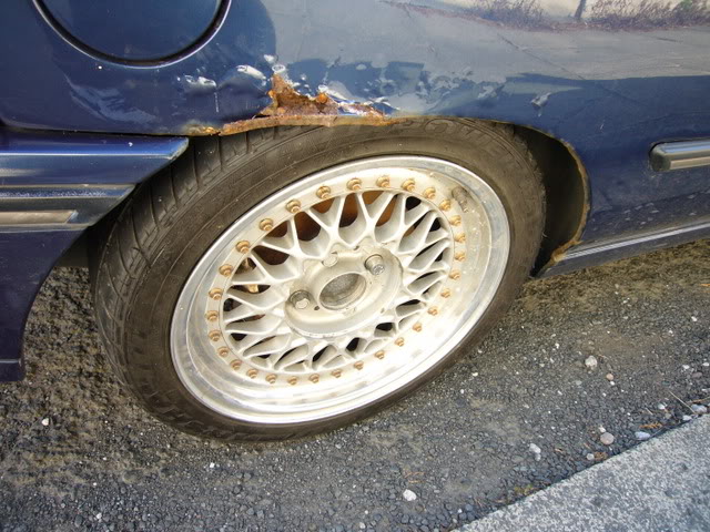 P1010271.jpg P1010271.jpg