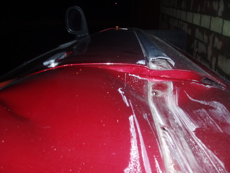 P1010305.jpg P1010305.jpg