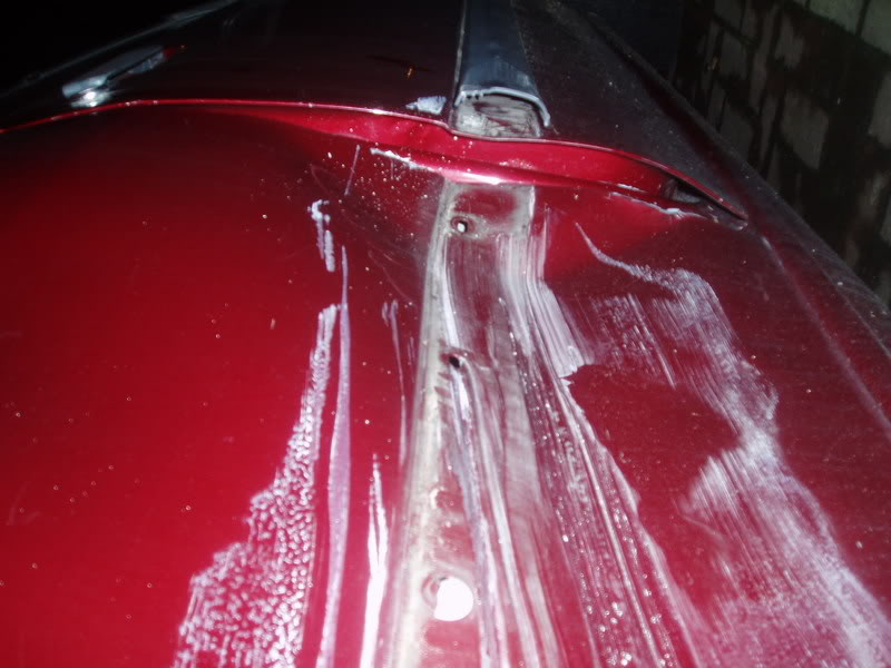 P1010306.jpg P1010306.jpg