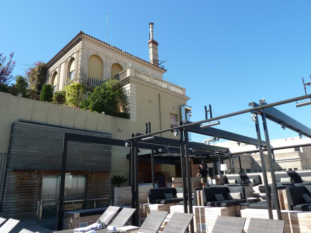 P1010419.jpg P1010419.jpg