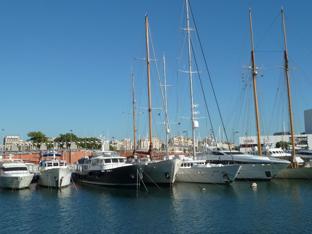 P1010424.jpg P1010424.jpg