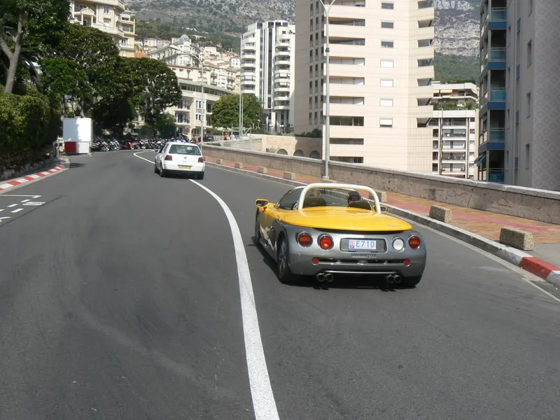 P1010475.webp
