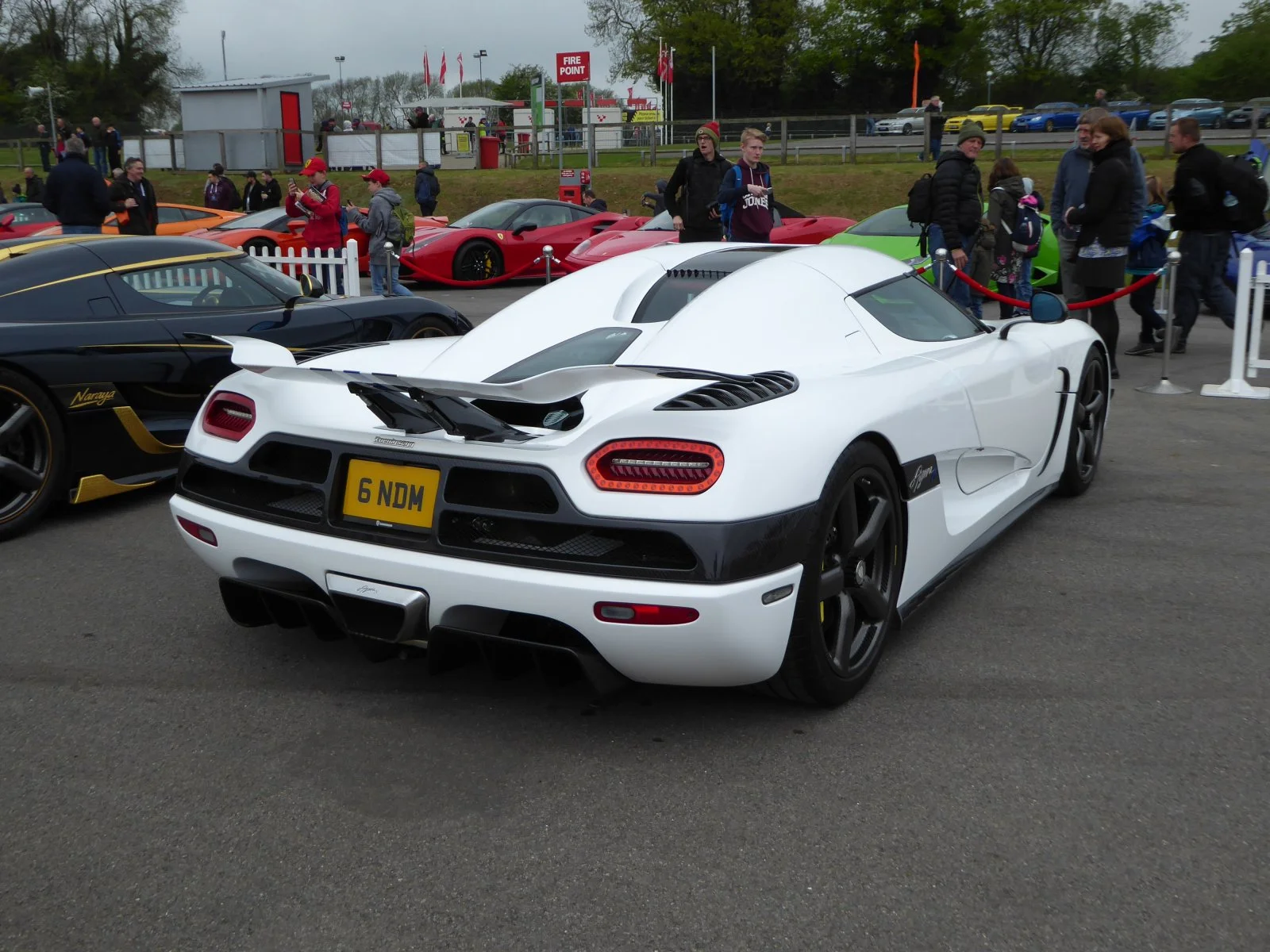 P1010501.webp