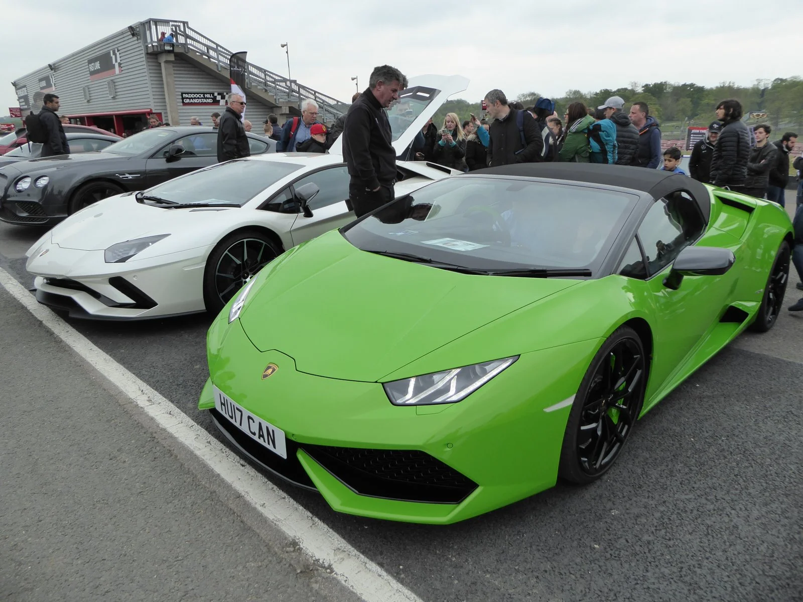P1010575.webp