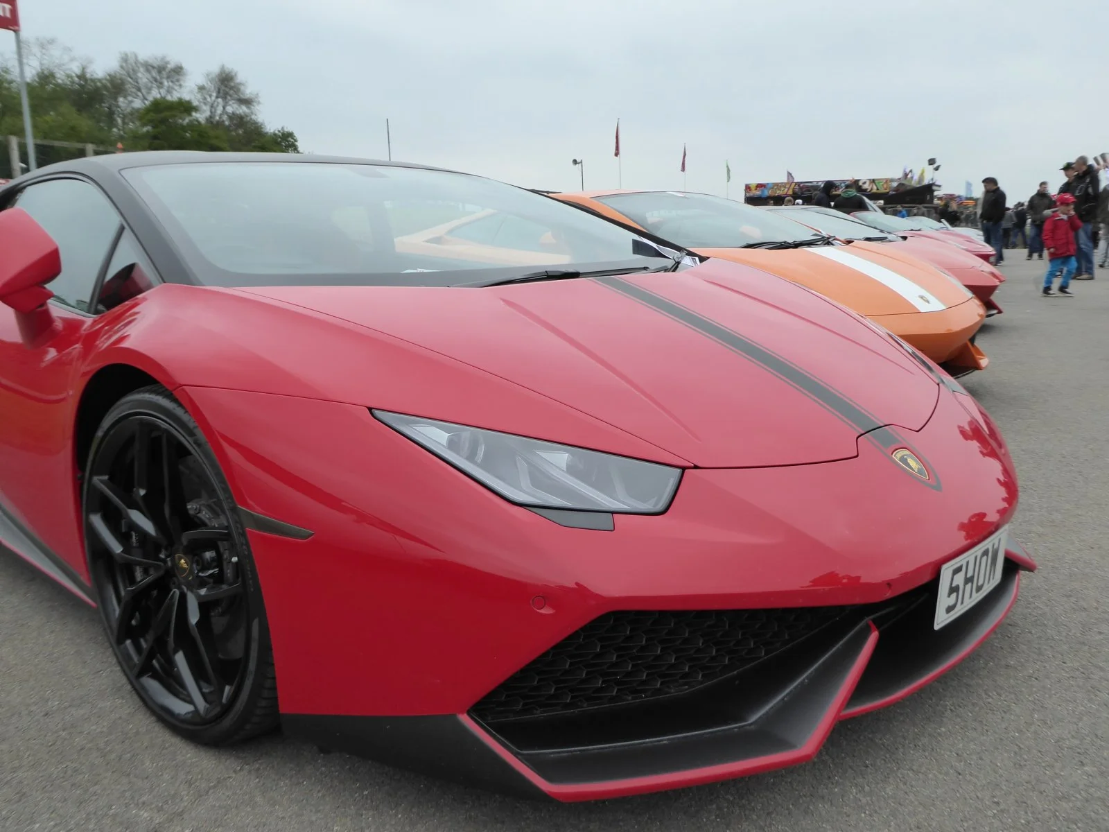 P1010590.webp