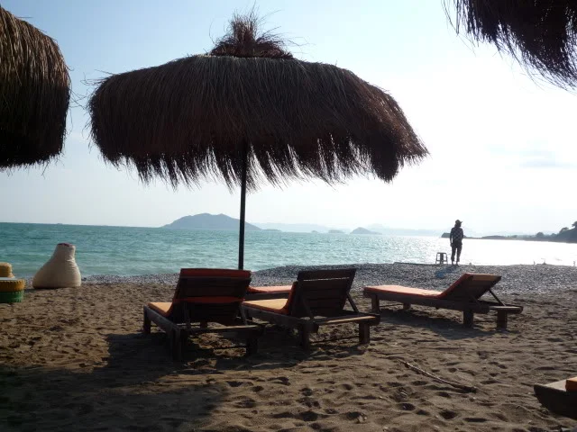 P1010630.webp