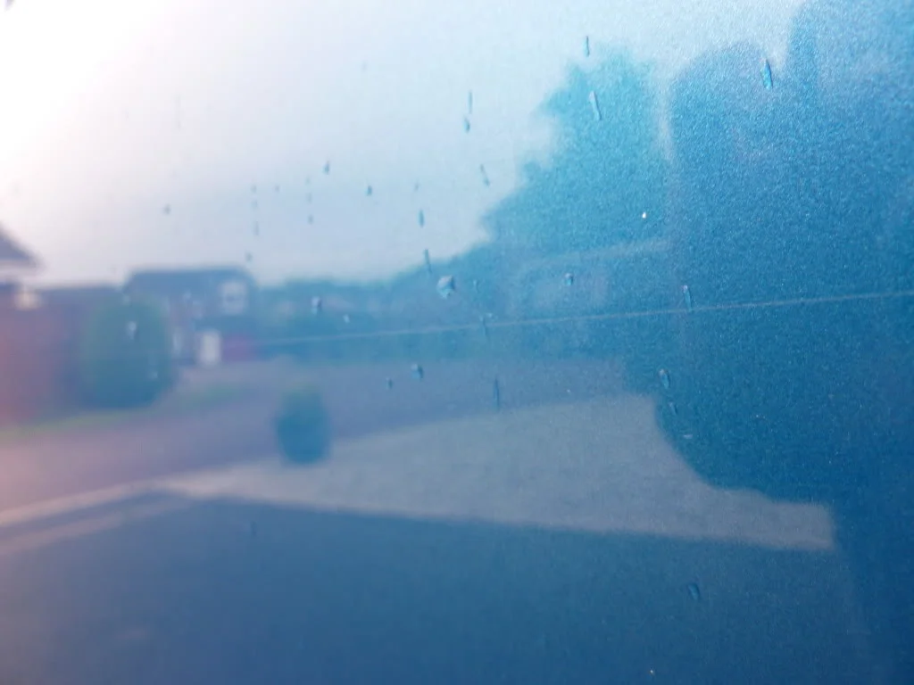 P1010726.webp