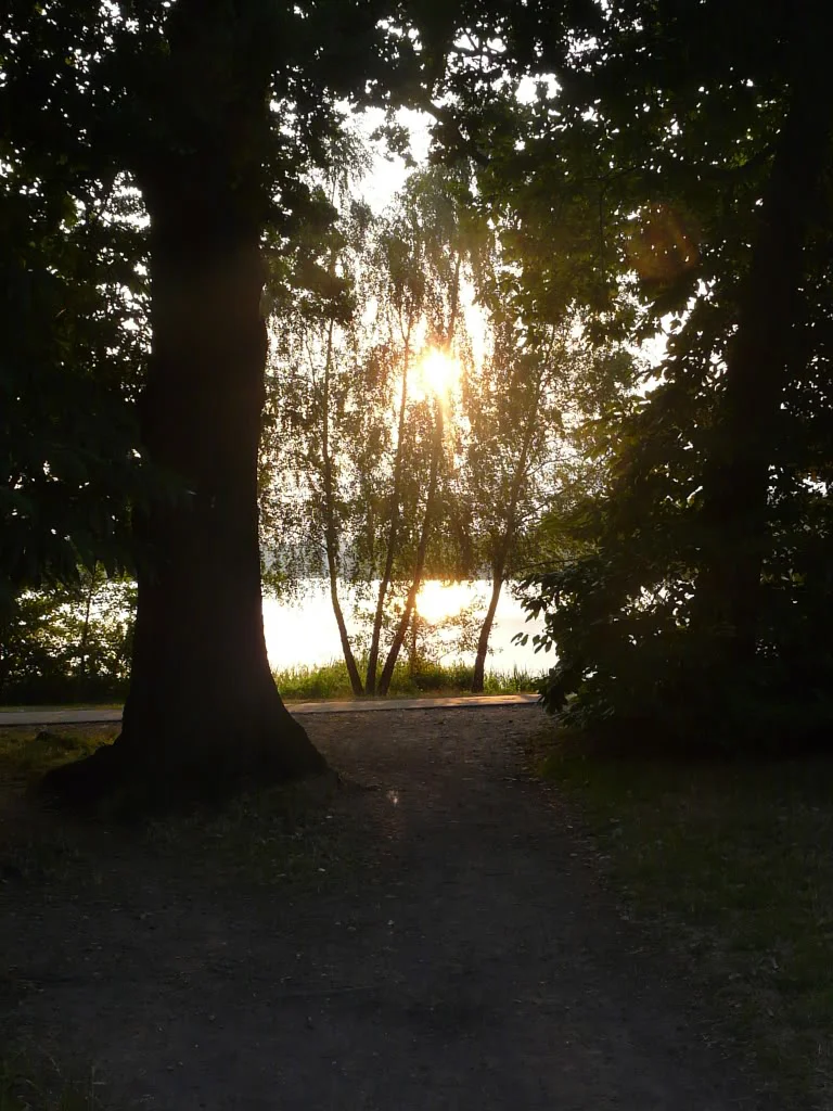 P1010730.webp