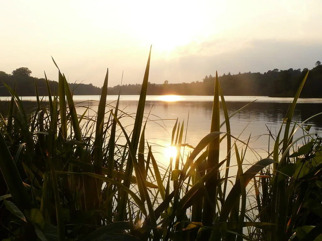 P1010732.webp