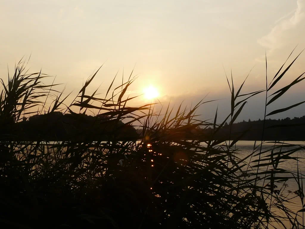 P1010734.webp