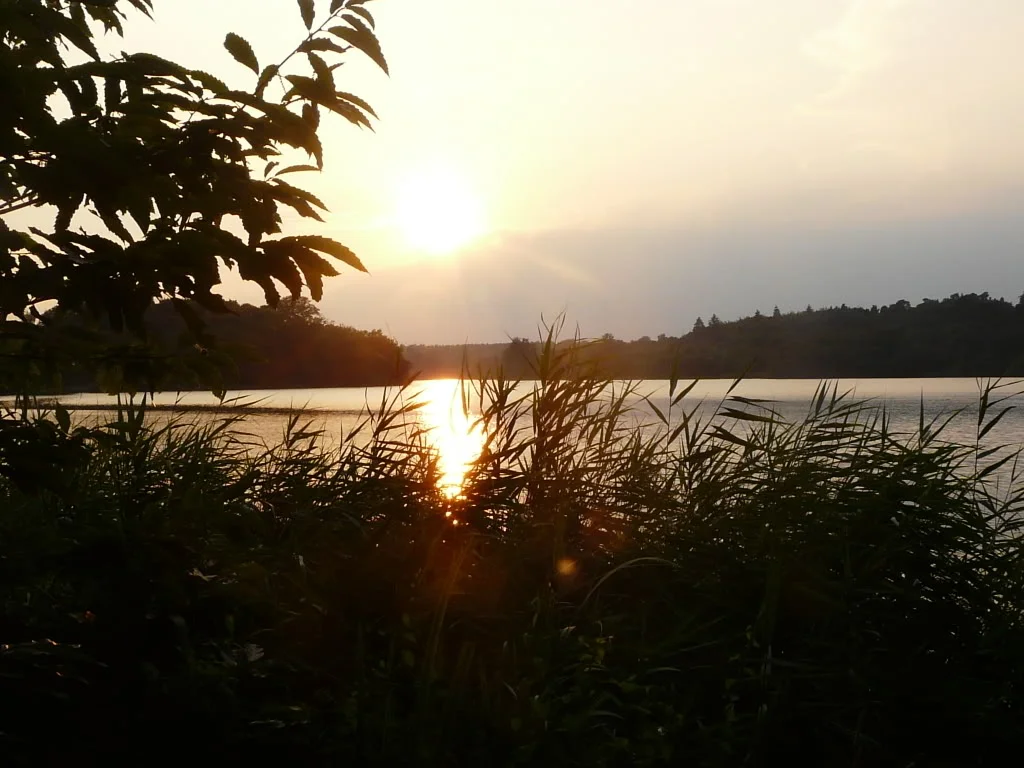 P1010735.webp