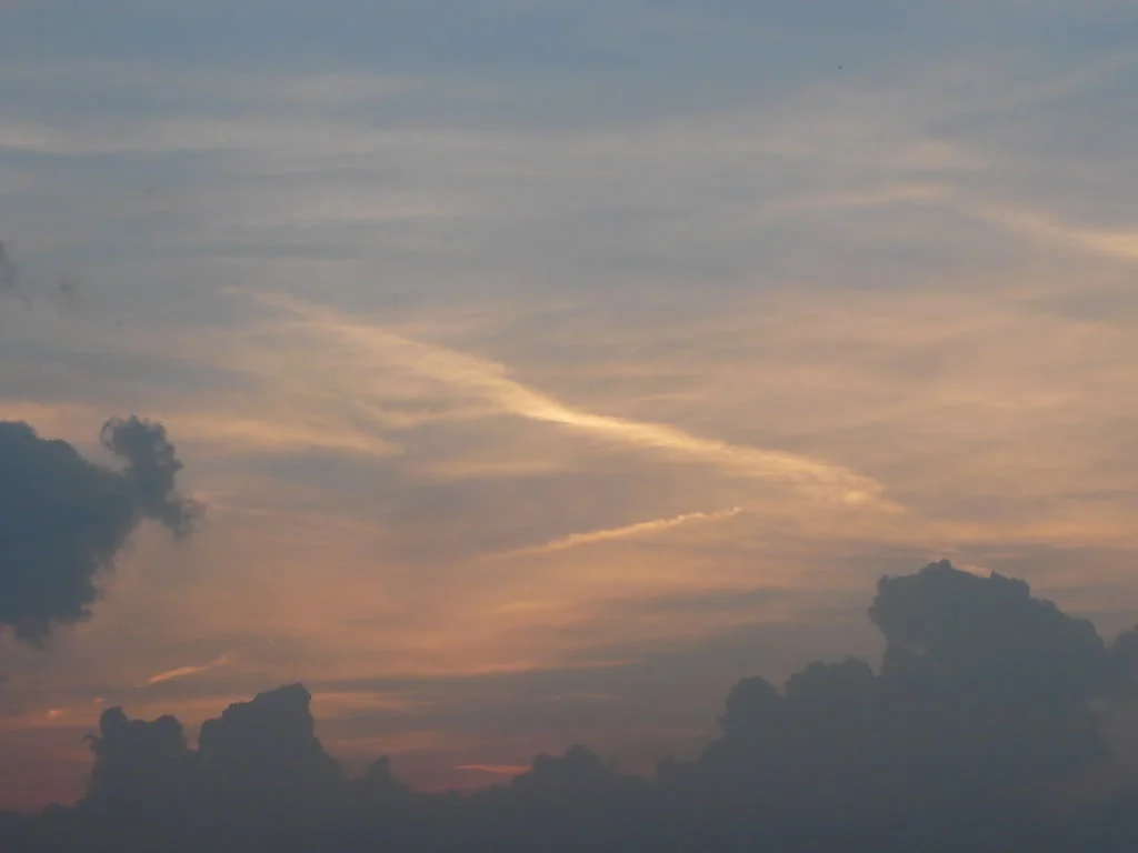 P1010753.webp