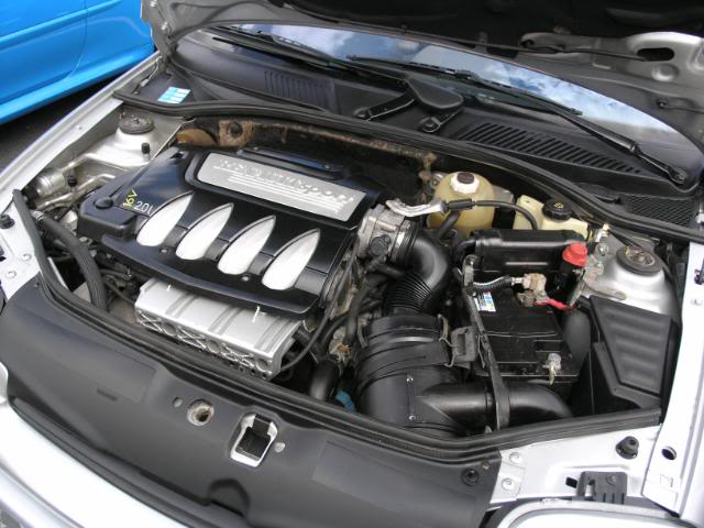 P1010804-1.jpg