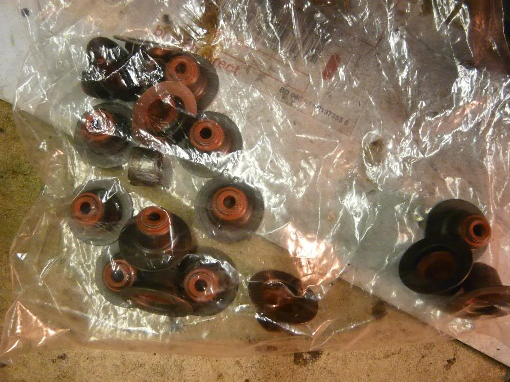 P1010854.webp