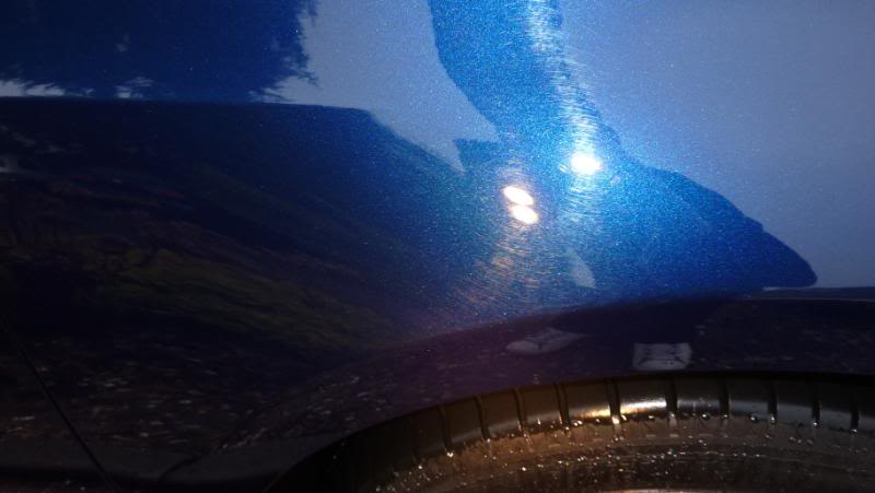 P1010976.jpg P1010976.jpg