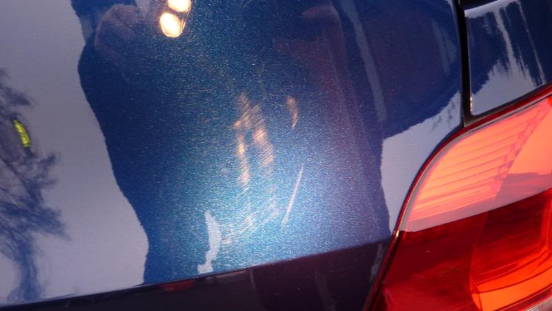 P1010983.jpg P1010983.jpg