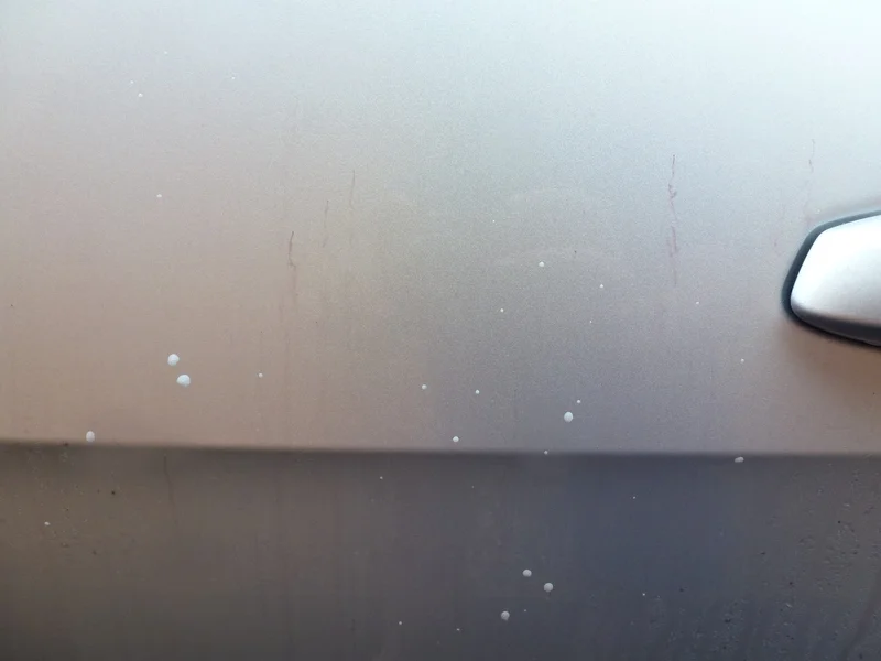 P1010989_zpsgyzjldt9.webp