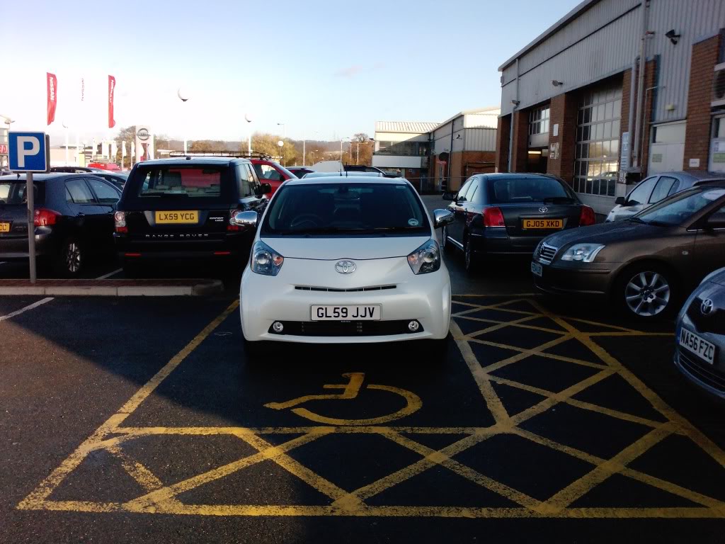 P101201_26-11-09.jpg P101201_26-11-09.jpg