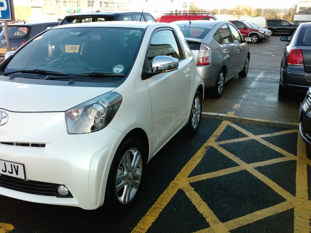 P1013_26-11-09.jpg P1013_26-11-09.jpg