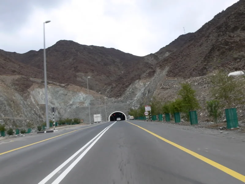 P1020041.webp