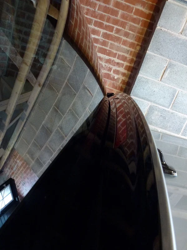 P1020048_zpscockhigv.webp