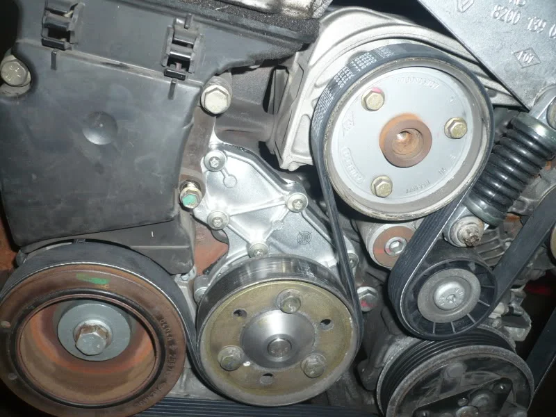 P1020113.webp