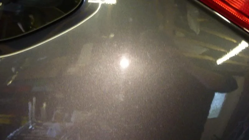 P1020114.webp