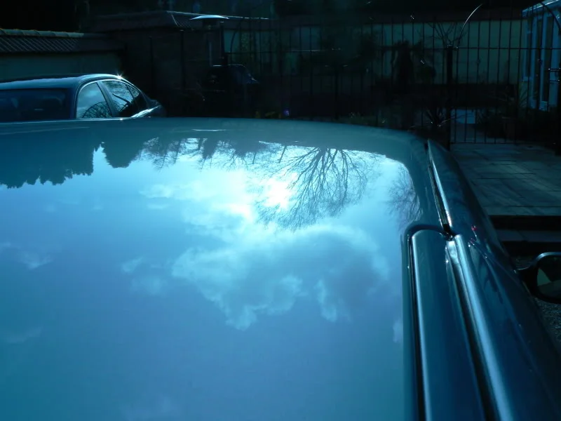 P1020135.webp