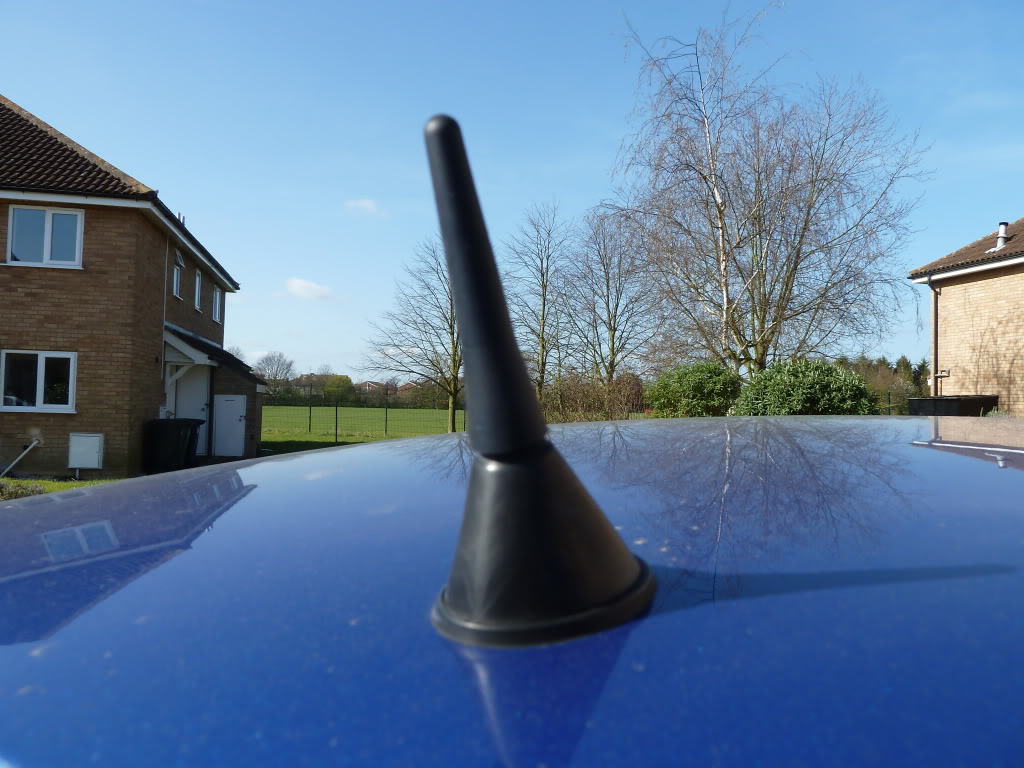 P1020196.jpg