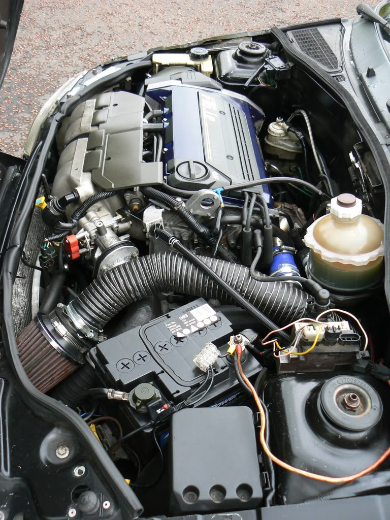 P1020350.jpg P1020350.jpg