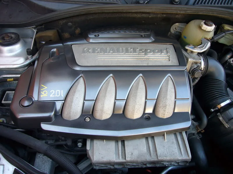 P1020519.webp