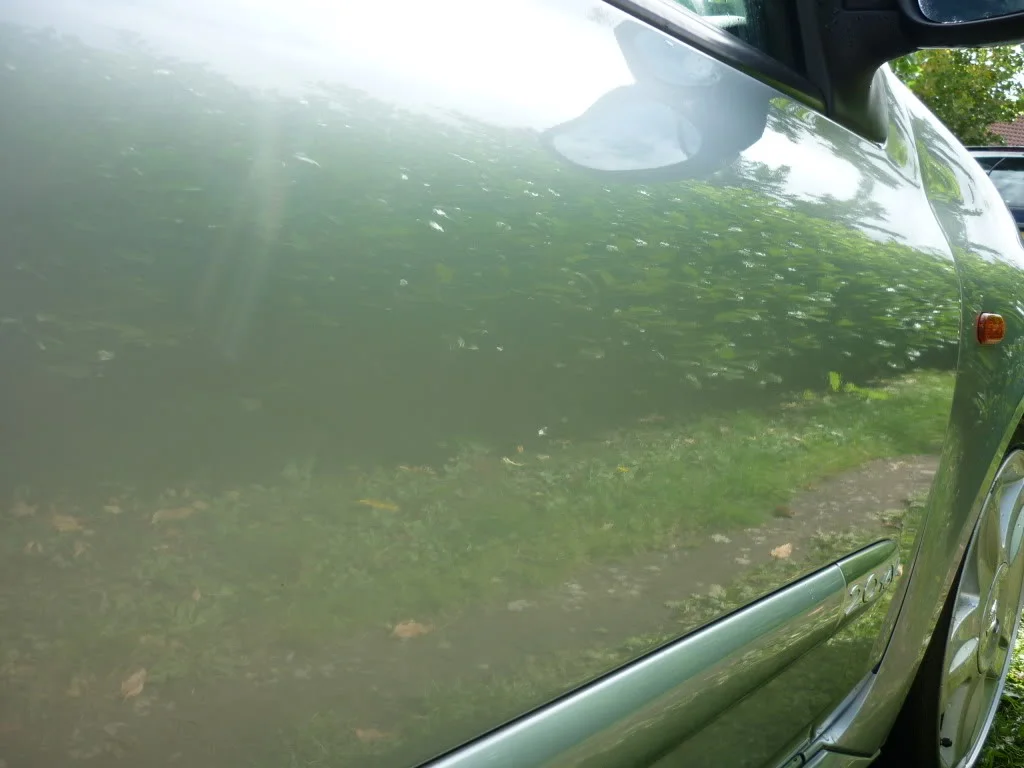 P1020738.webp