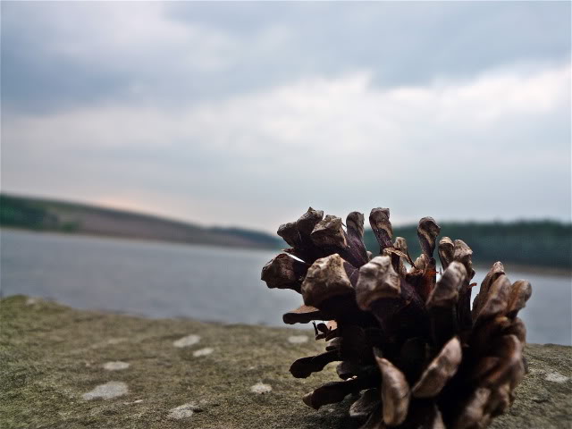 P1030321.jpg