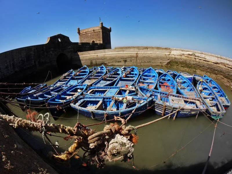 P1030354-PS_zps981f069d.webp