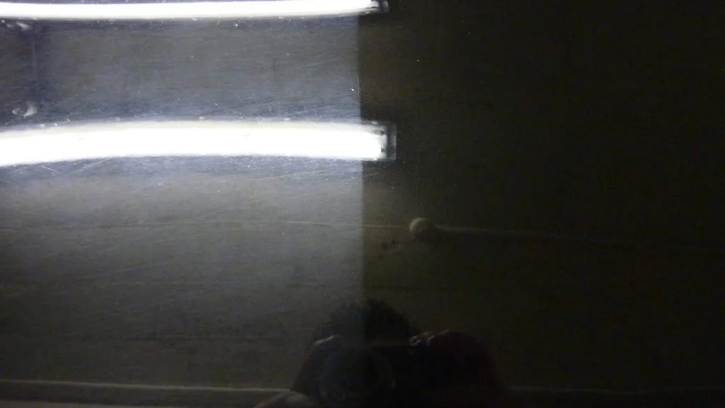 P1030739.webp