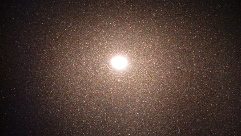 P1030842.webp