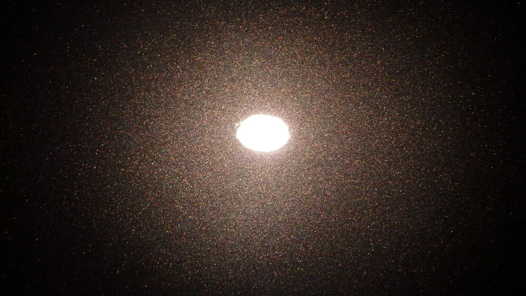 P1030844.webp