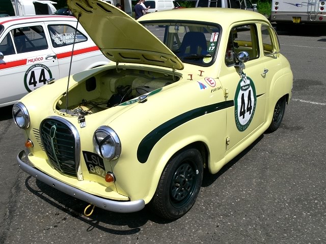 P1050003.jpg