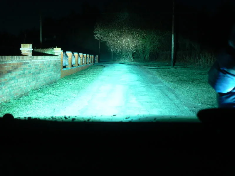 P1050415.webp