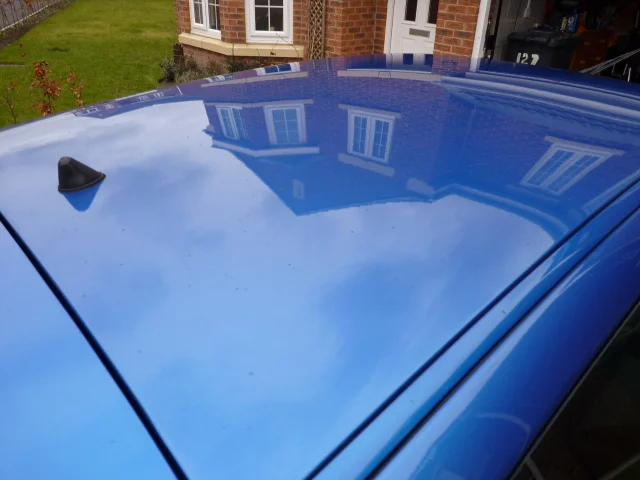 P1050627.webp