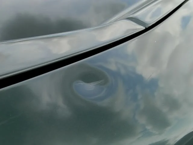 P1060775.webp