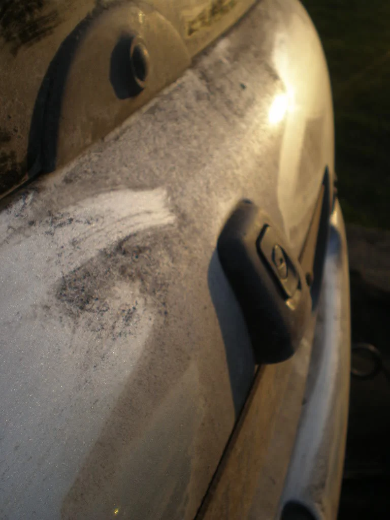 P1061506.webp