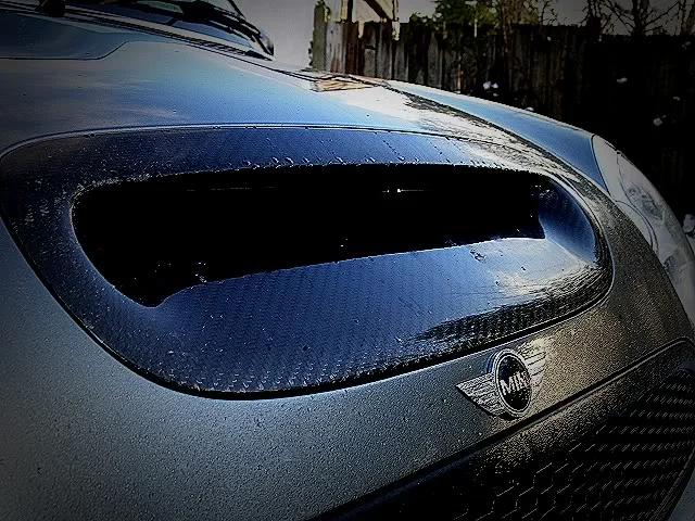 P1070336.webp