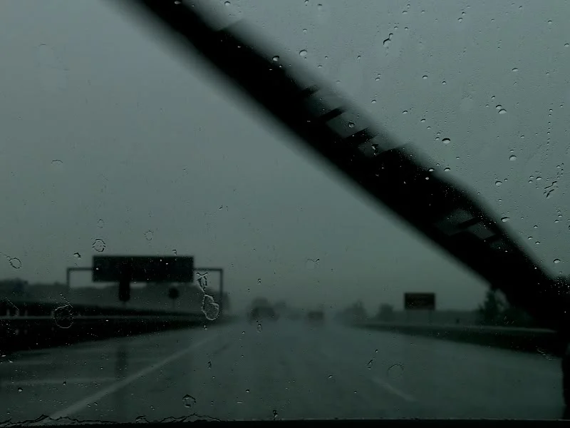 P1080543.webp