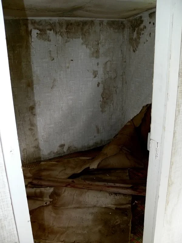 P1080570.webp