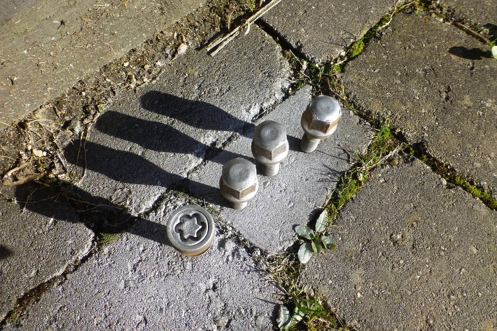 P1100011.webp